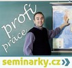 článek seminárky profi práce